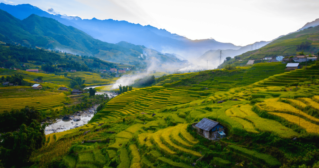 Rice terraces in Sapa, Vietnam