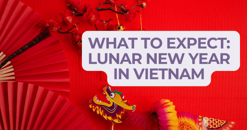 The image features a vibrant red background with decorative elements related to the Lunar New Year in Vietnam. A traditional red paper fan is centrally placed, adorned with delicate red blossoms. To the right, a colorful dragon puppet and a part of a pink paper lantern add to the festive theme. Overlaid text in a white speech bubble reads "WHAT TO EXPECT: LUNAR NEW YEAR IN VIETNAM," suggesting an informative context about the holiday's customs and events. The bold colors and festive symbols evoke the celebratory spirit of the occasion.