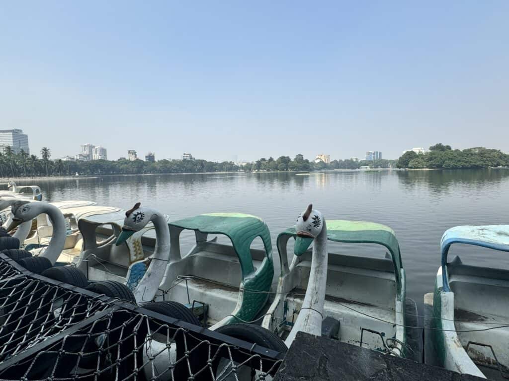 A peaceful lakeside scene featuring swan-shaped pedal boats docked in a row, with calm water reflecting the blue sky. The background includes trees, distant buildings, and a serene urban park setting.